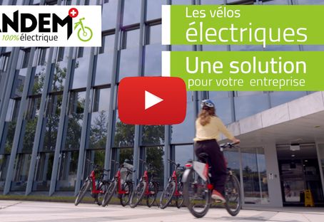 miniature-video-entreprises-5