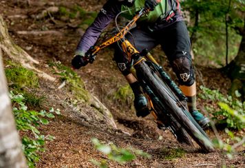 copyright Liva Linde -1