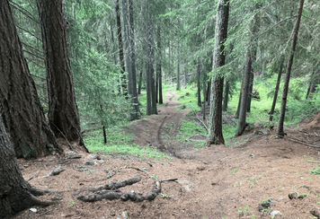 Capture d’écran 2021-09-07 à 17.26.57